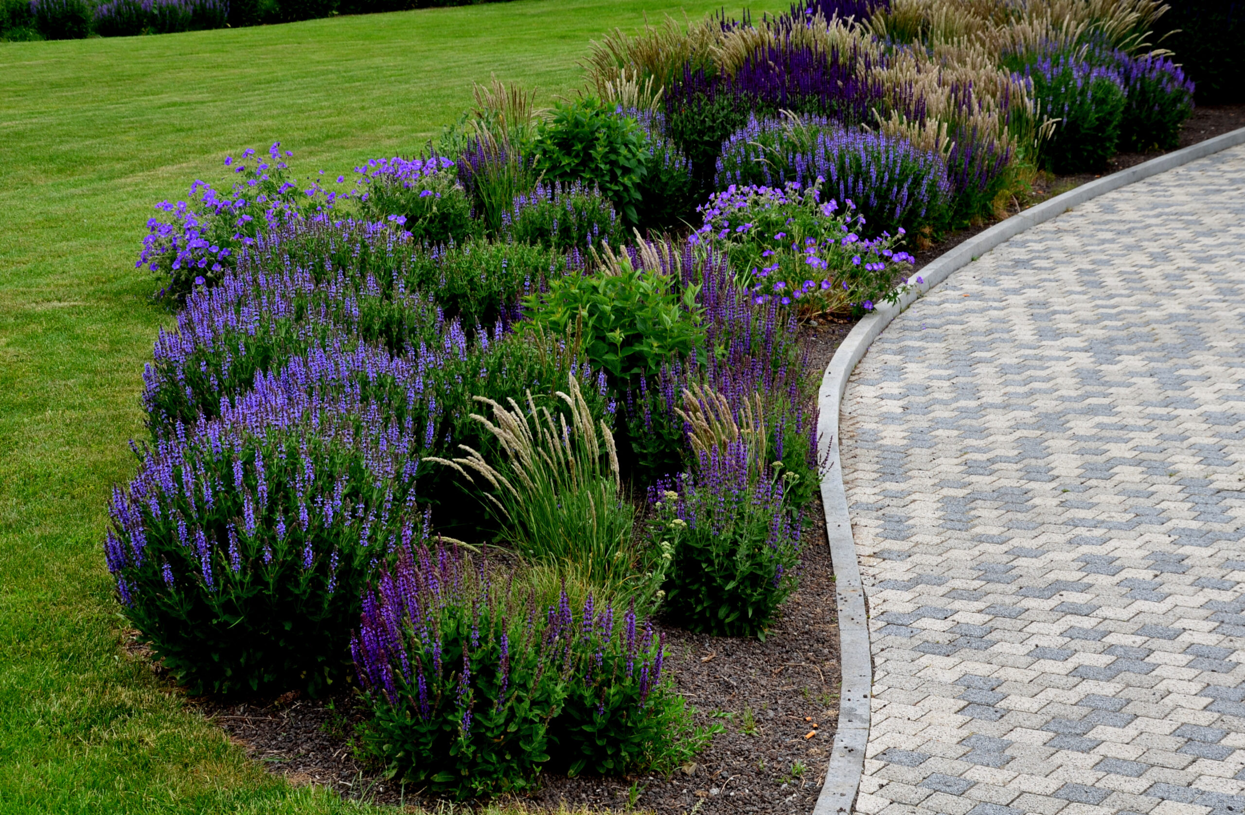 weed free beds from our Flowerbed Weed Control Service