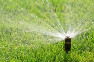 How Often Should I Water My Lawn?